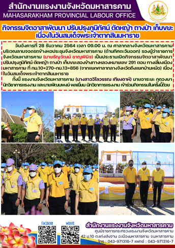Mol-Thailand